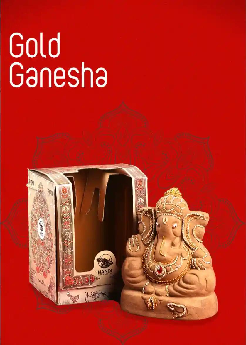 Eco Friendly Ganesha