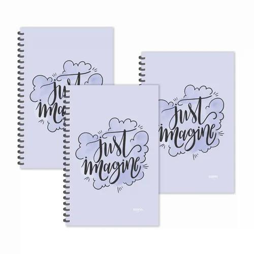 Just Imagine Motivational Ruled Diaries - Pack Of 3