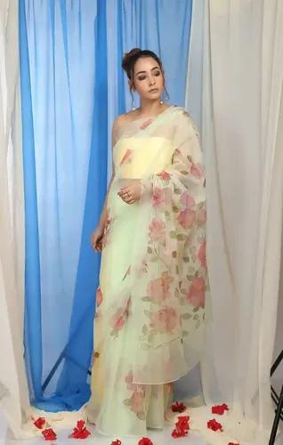 Pure Organza Hand-Painted Light Green Saree With Red Rose Design