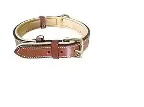 Dog Leather Collar with soft Cushion 67x3x0.5 Cm, Tan Color-Large