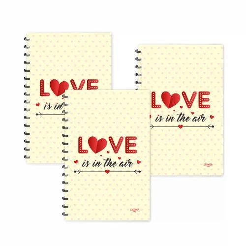 Love Is In The Air Design Ruled Diaries - Pack Of 3