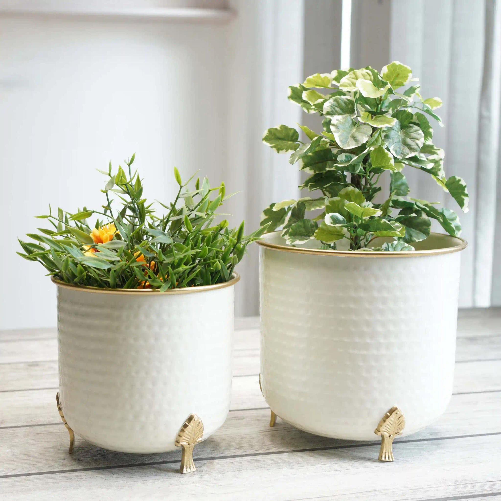 Metal Hammered Gold Rim Leaf leg Planter, White, Set of 2