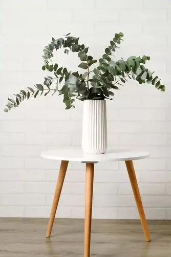 Eucalyptus Stems - Set Of 5